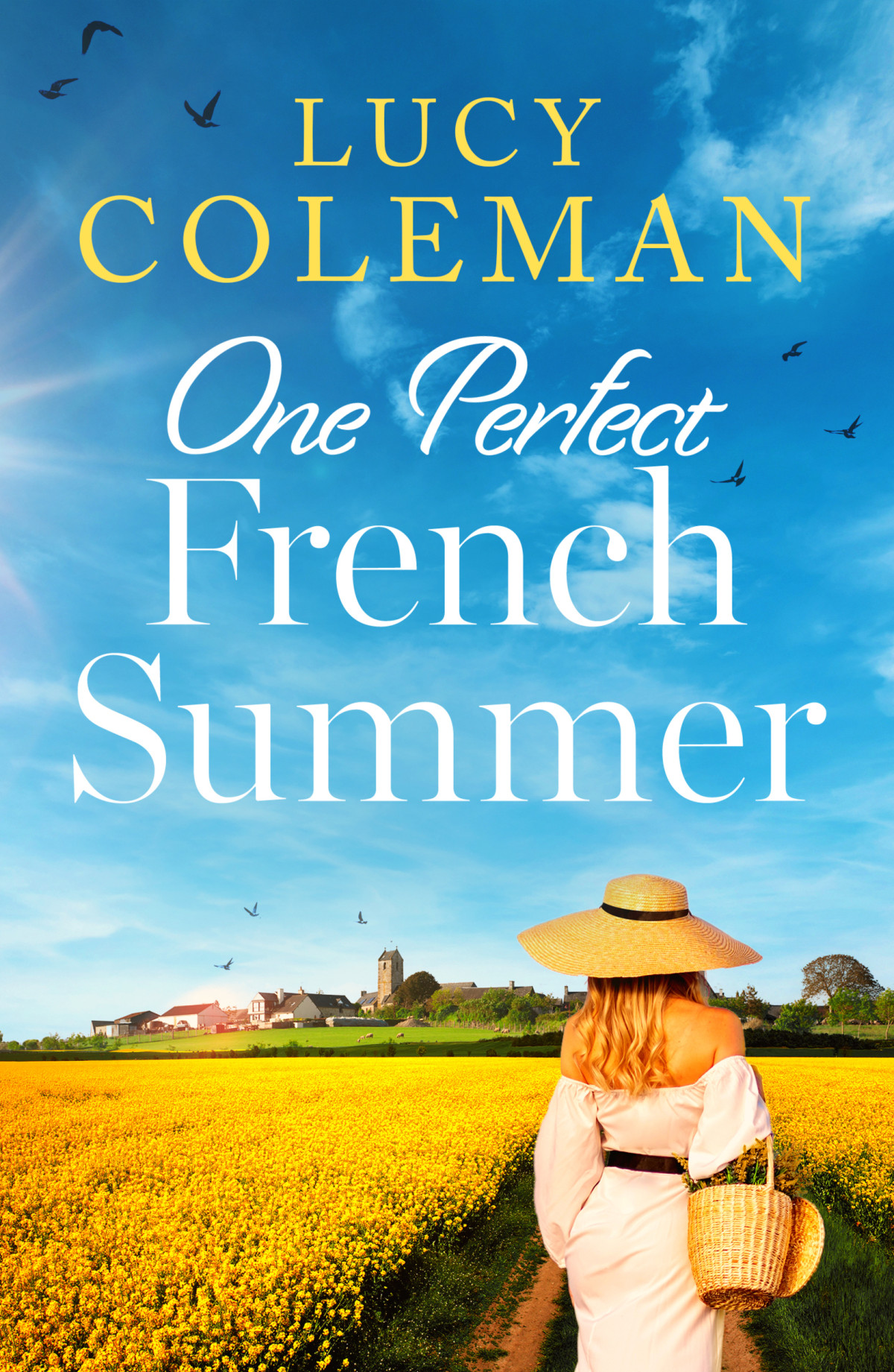 One Perfect French Summer Lucy Coleman