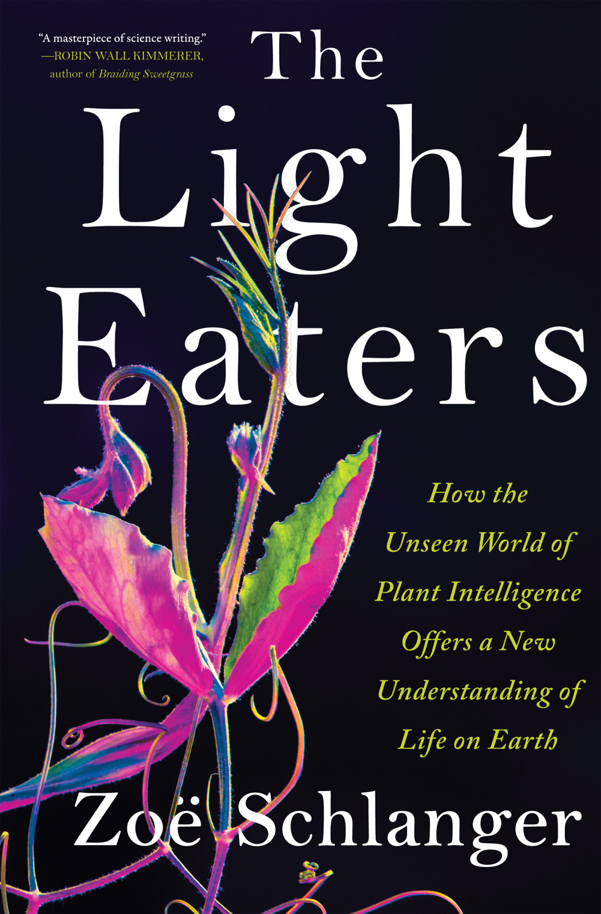 The Light Eaters Zo Schlanger