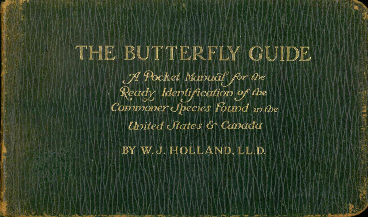 The Butterfly Guide Ebook 73524 W J Holland