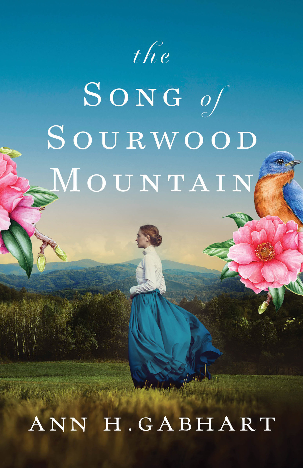 The Song Of Sourwood Mountain Ann H Gabhart