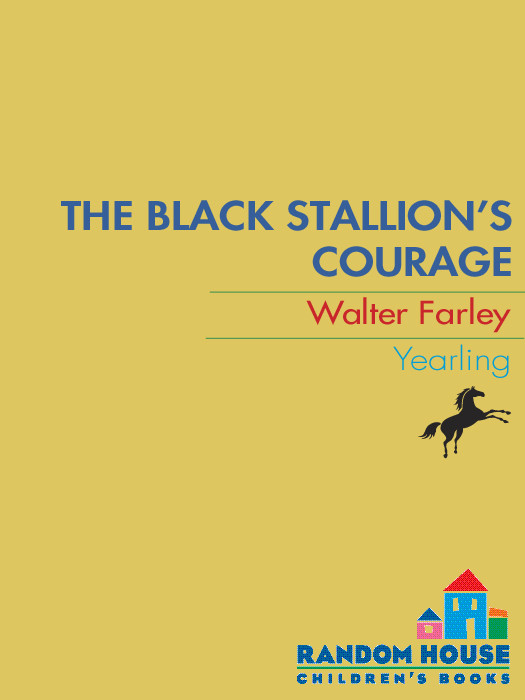 The Black Stallions Courage Walter Farley