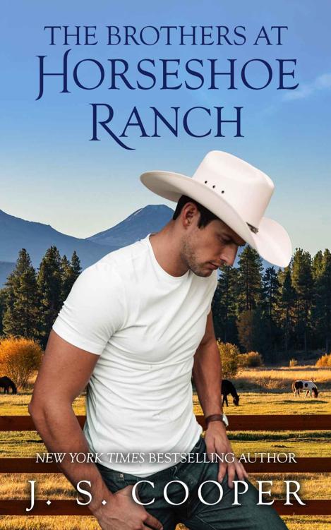 The Brothers At Horseshoe Ranch Bundle Books 14 J S Cooper
