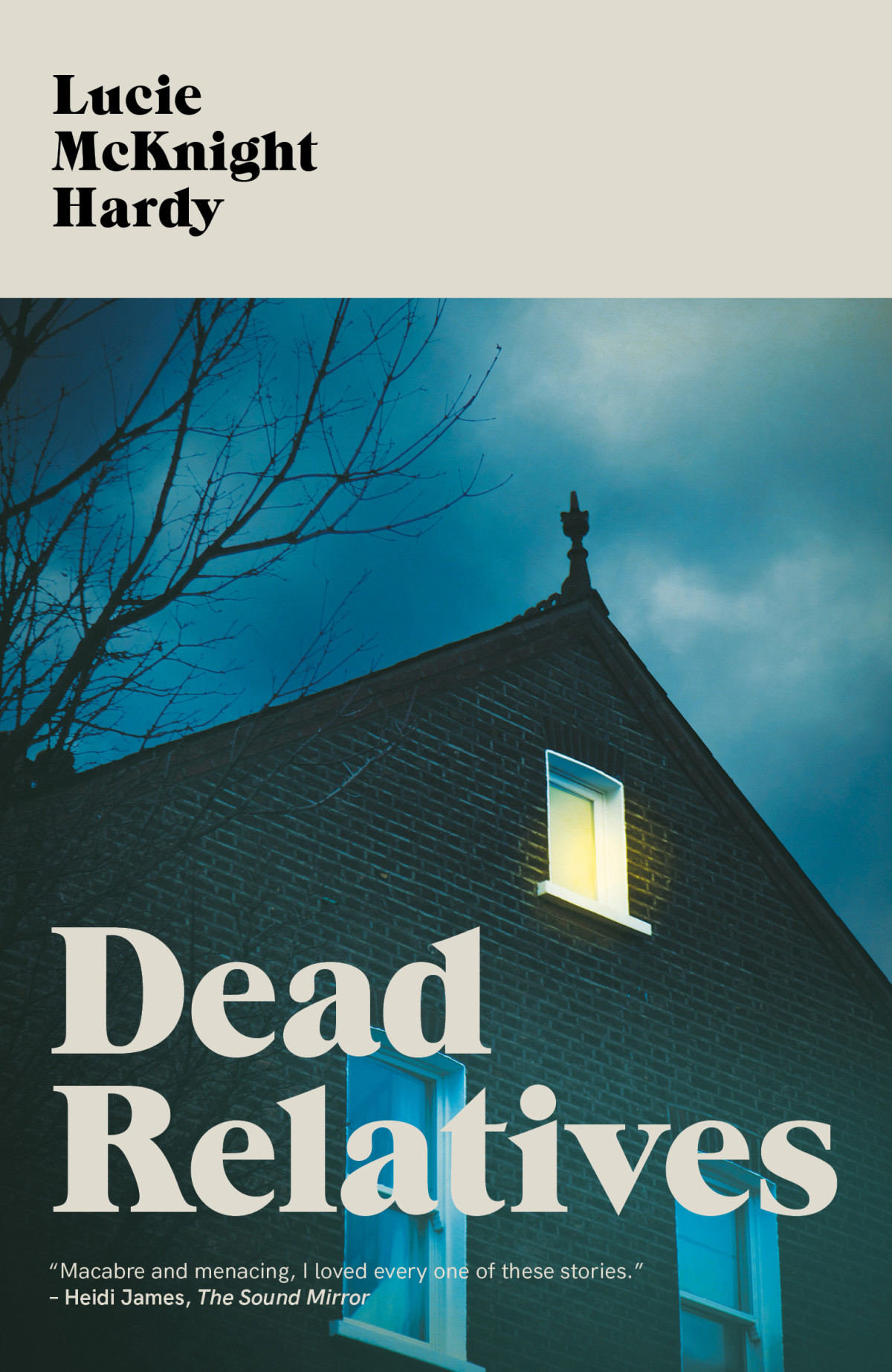 Dead Relatives And Other Stories Lucie Mcknight Hardy