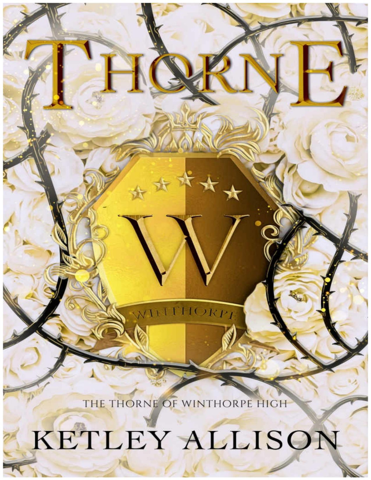 Thorne A Dark Bully Romance The Thorne Of Winthorpe Book 1 Allison