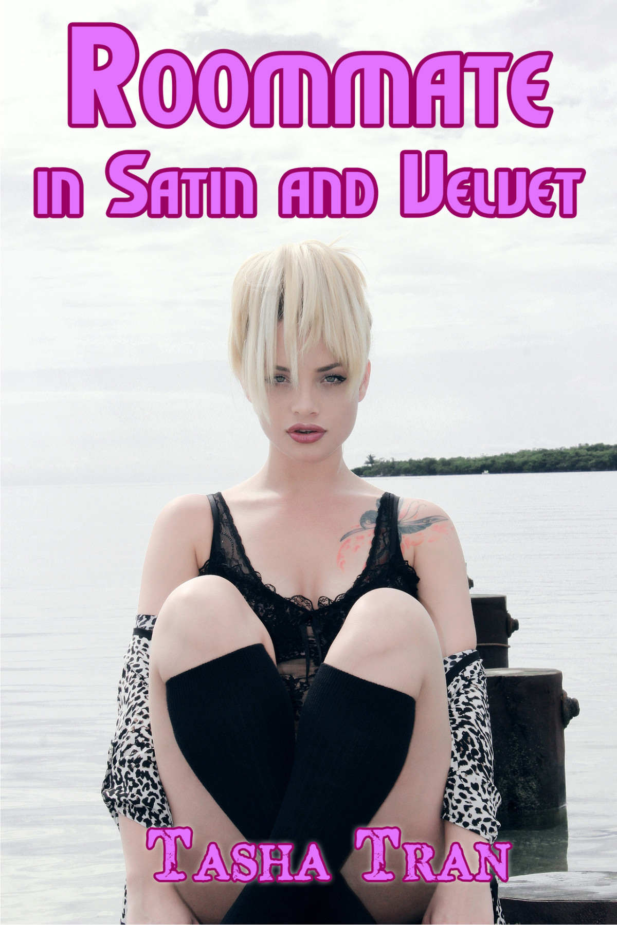 Roommate In Satin And Velvet The Feminization Of Danielle 2 Tran