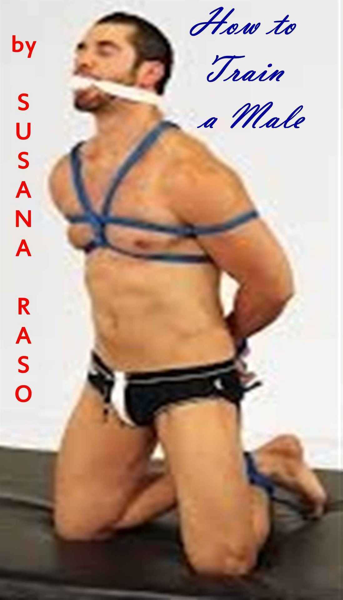 How To Train A Male 2nd Edition Raso Susana