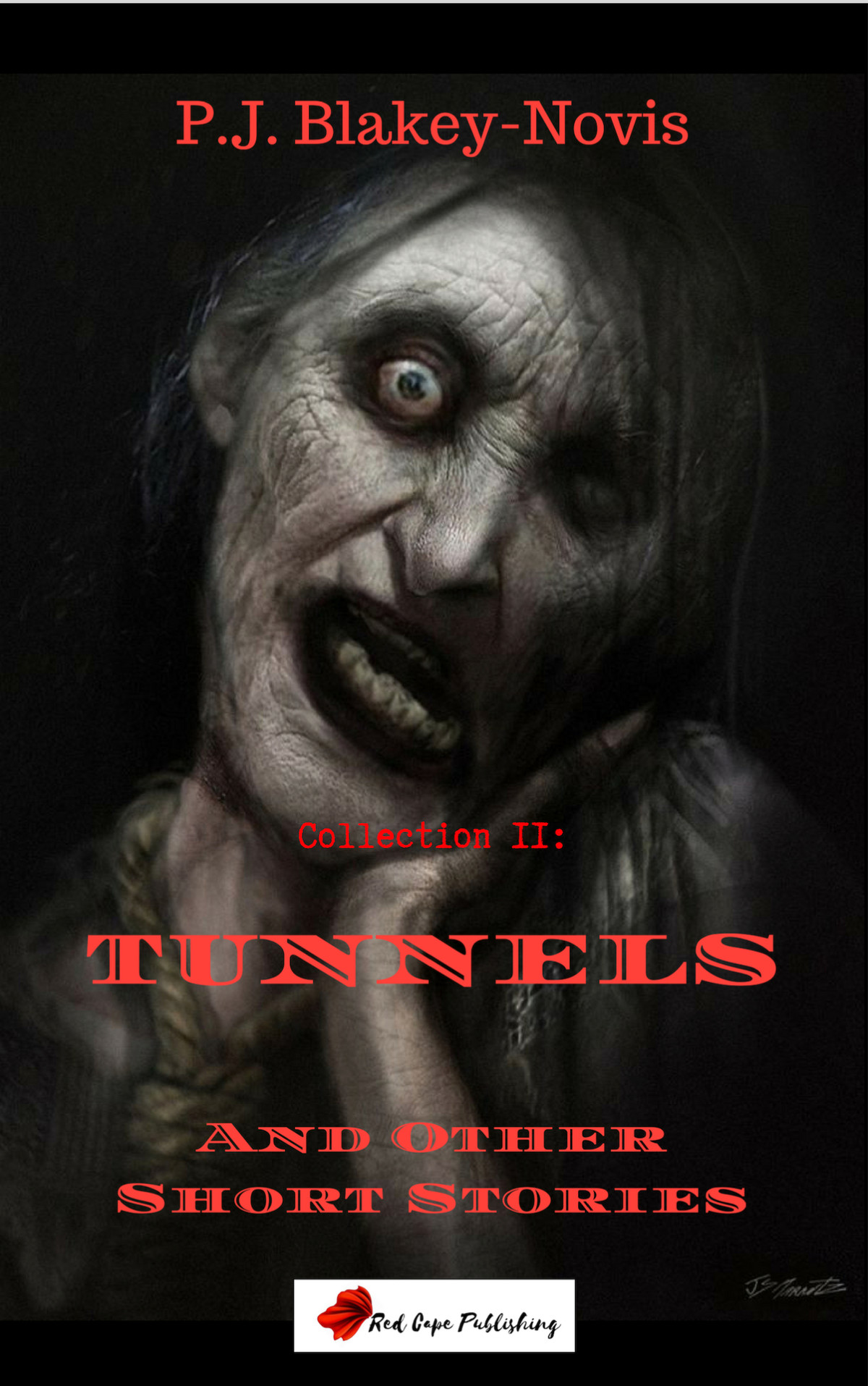 Tunnels Other Stories Collection Ii Pj Blakeynovis