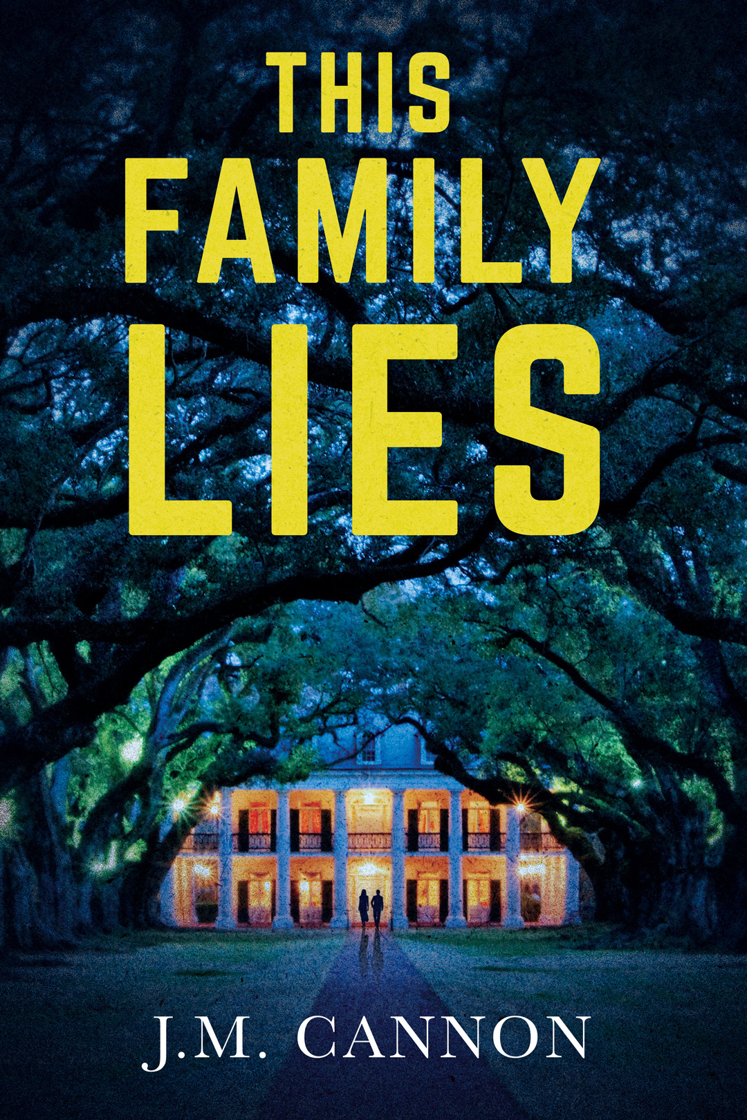 This Family Lies A Jawdropping Psychological Thriller J M Cannon