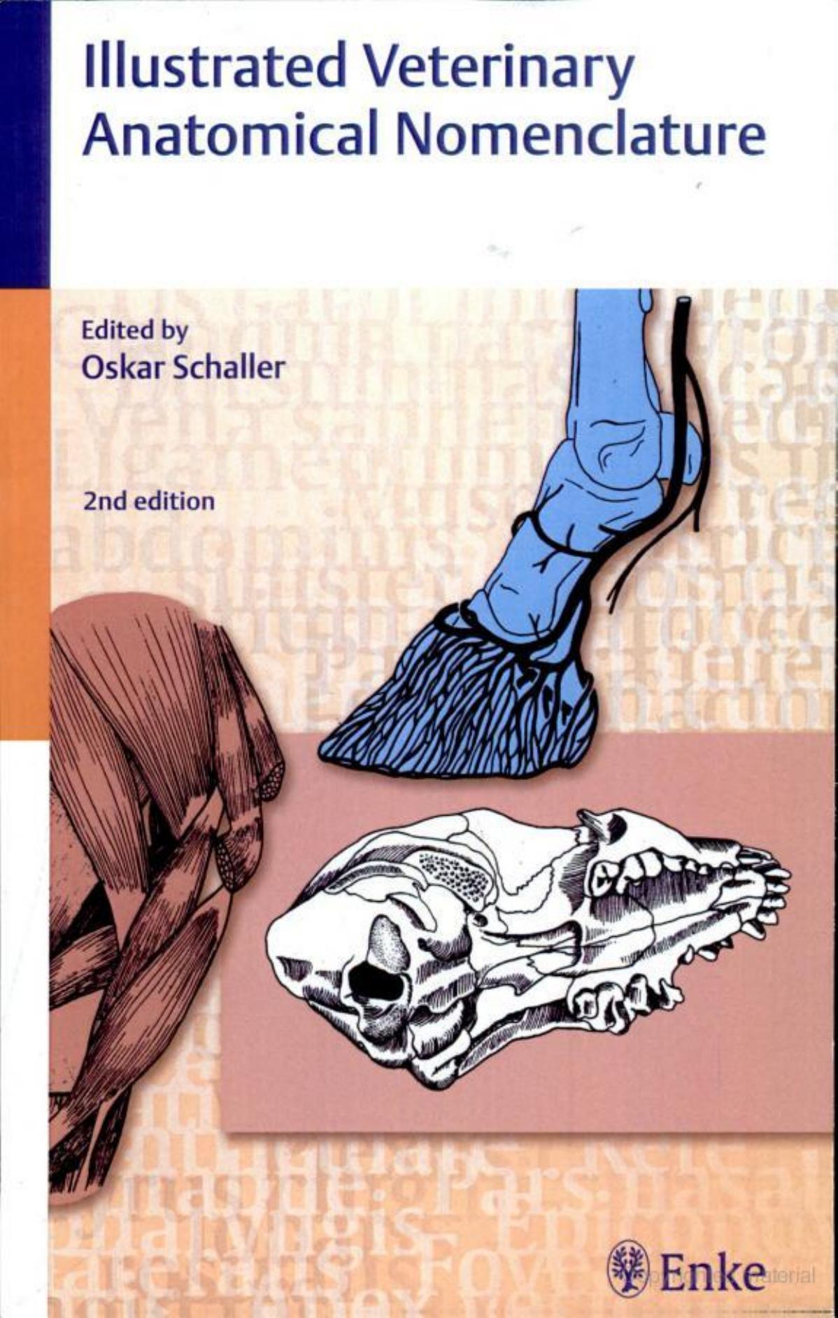 Illustrated Veterinary Anatomical Nomenclature 2nd By Oskar Schaller