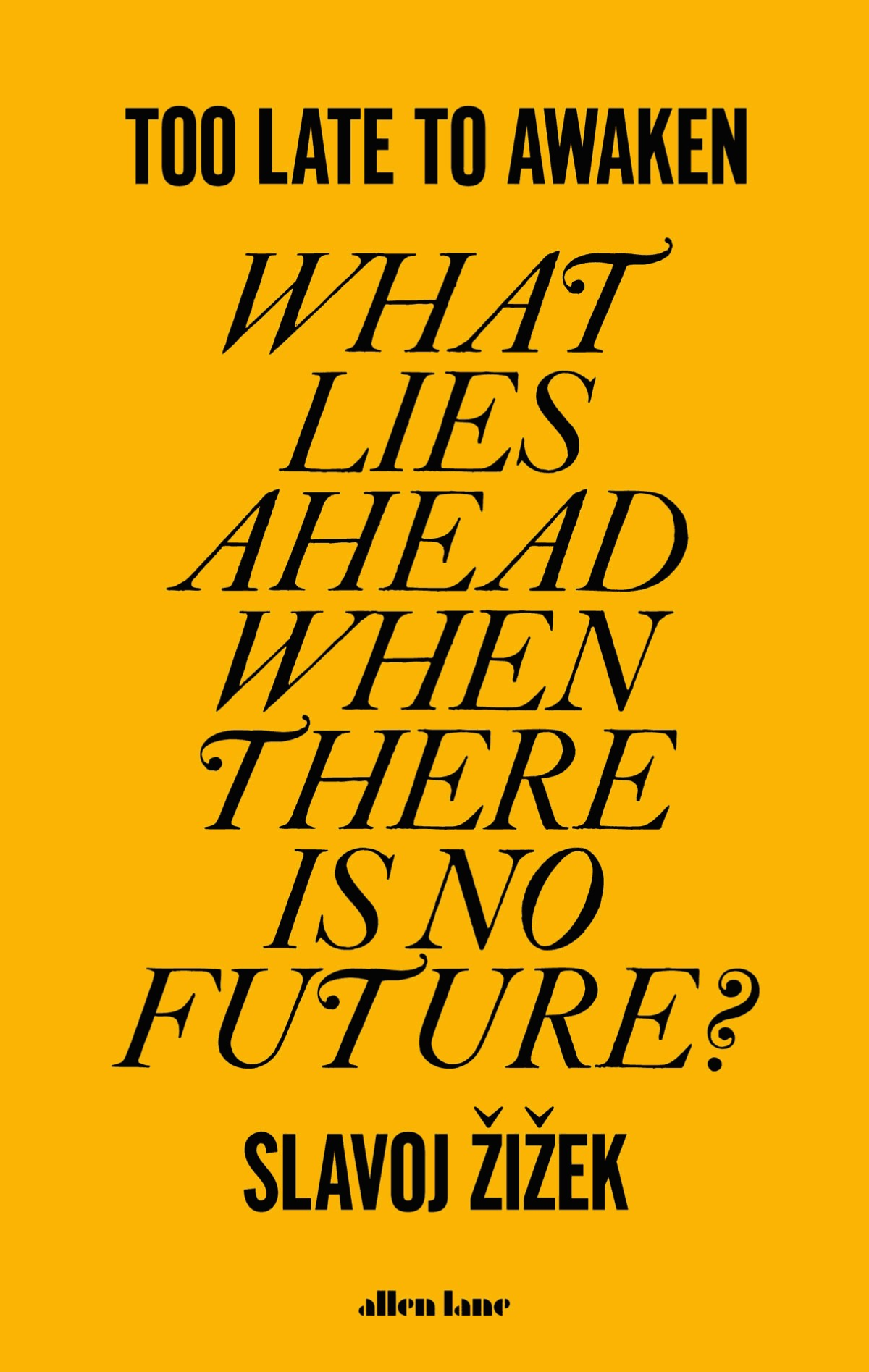 Too Late To Awaken What Lies Ahead When There Is No Future Slavoj Zizek