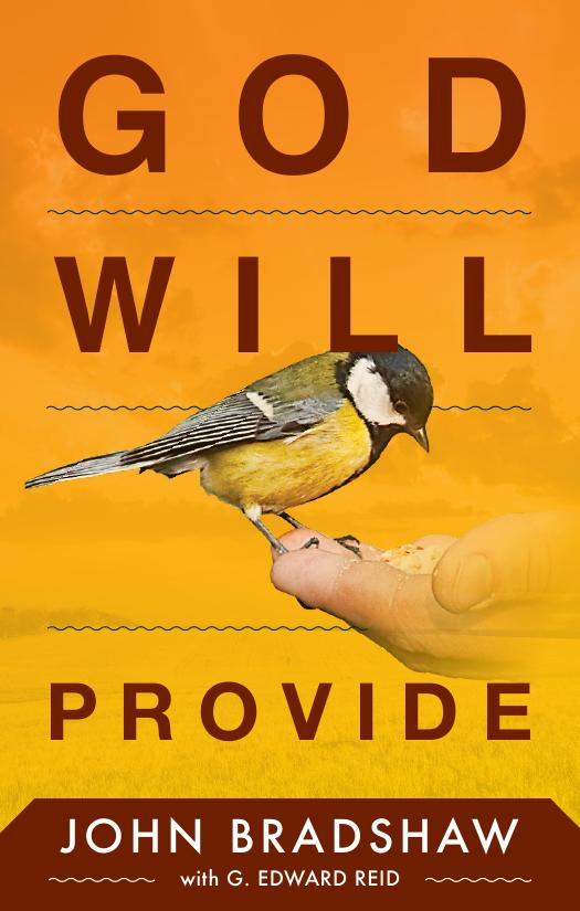 God Will Provide John Bradshaw G Edward Reid