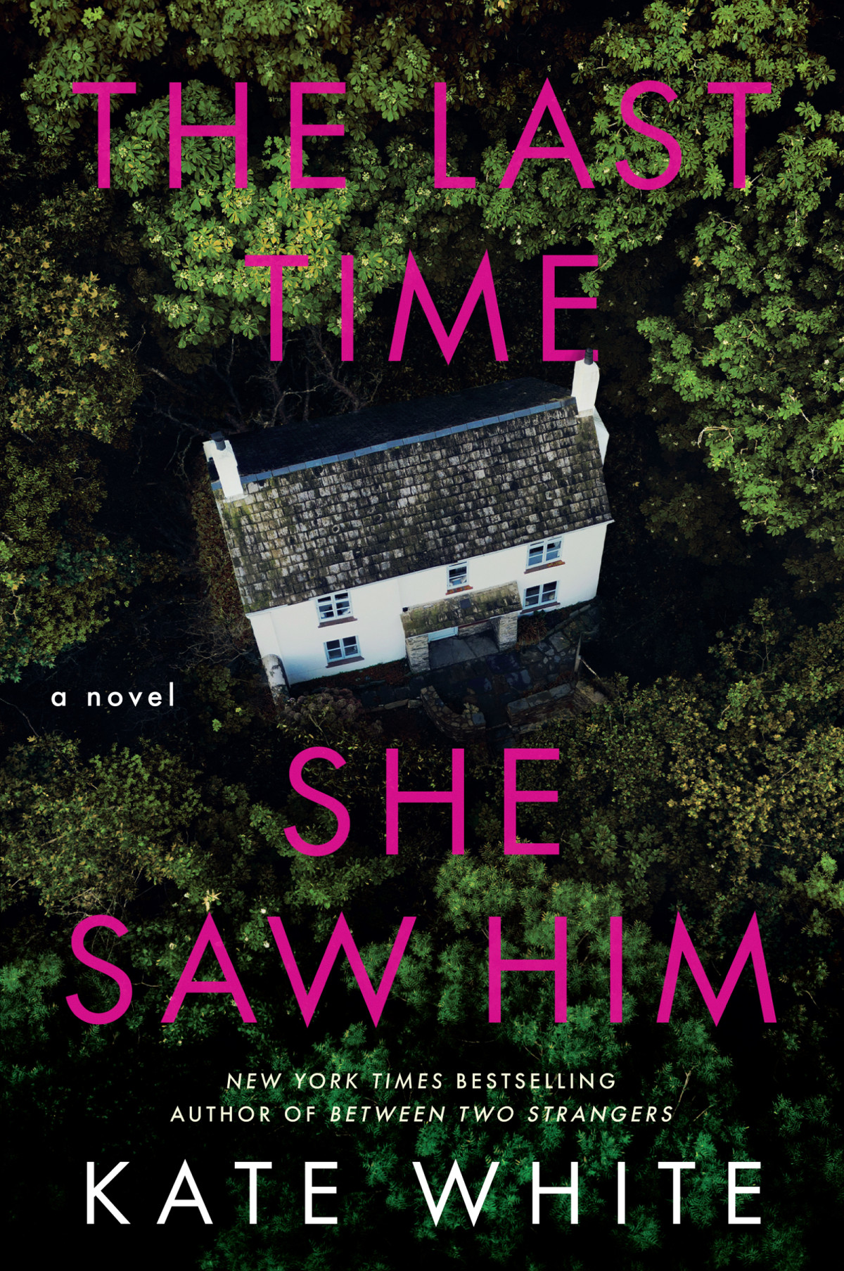 The Last Time She Saw Him Kate White