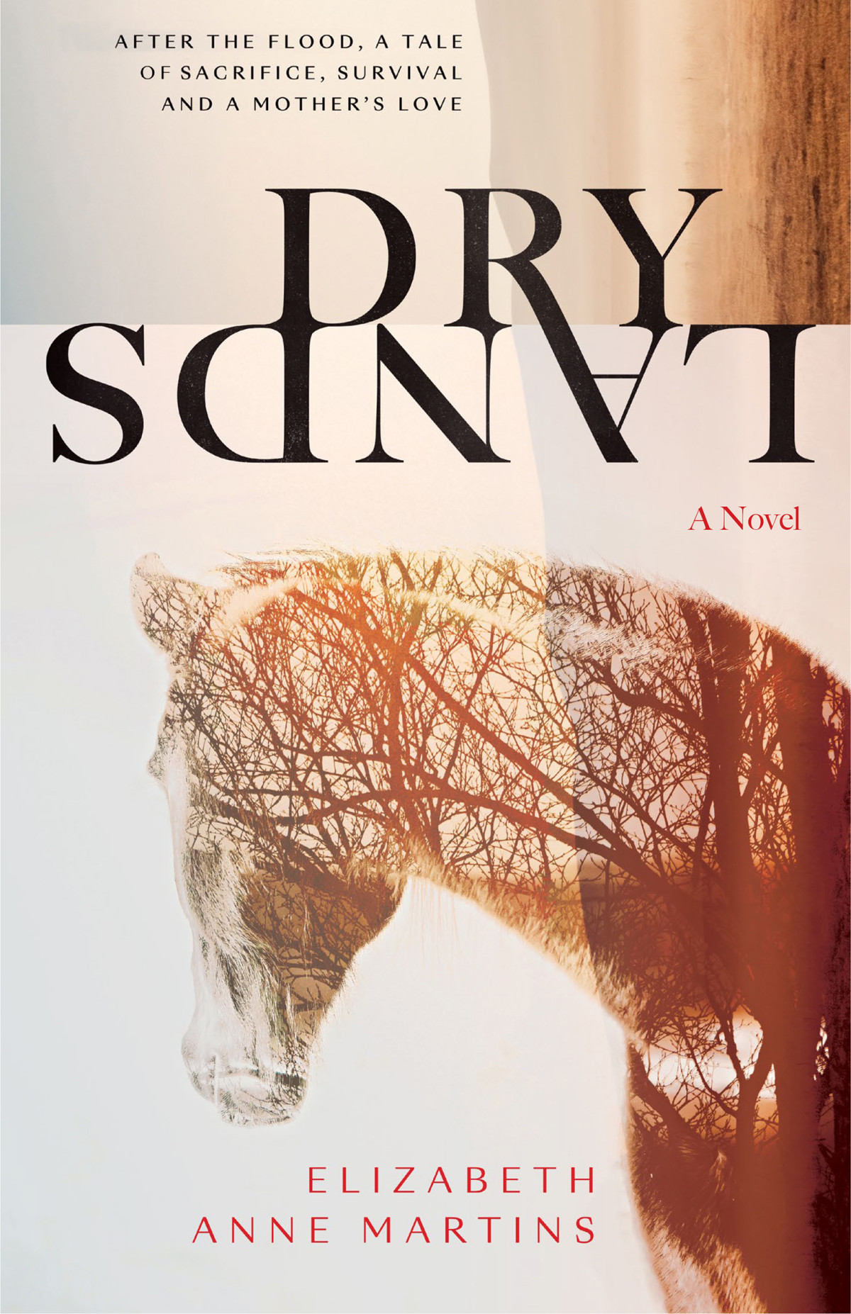 Dry Lands Elizabeth Anne Martins