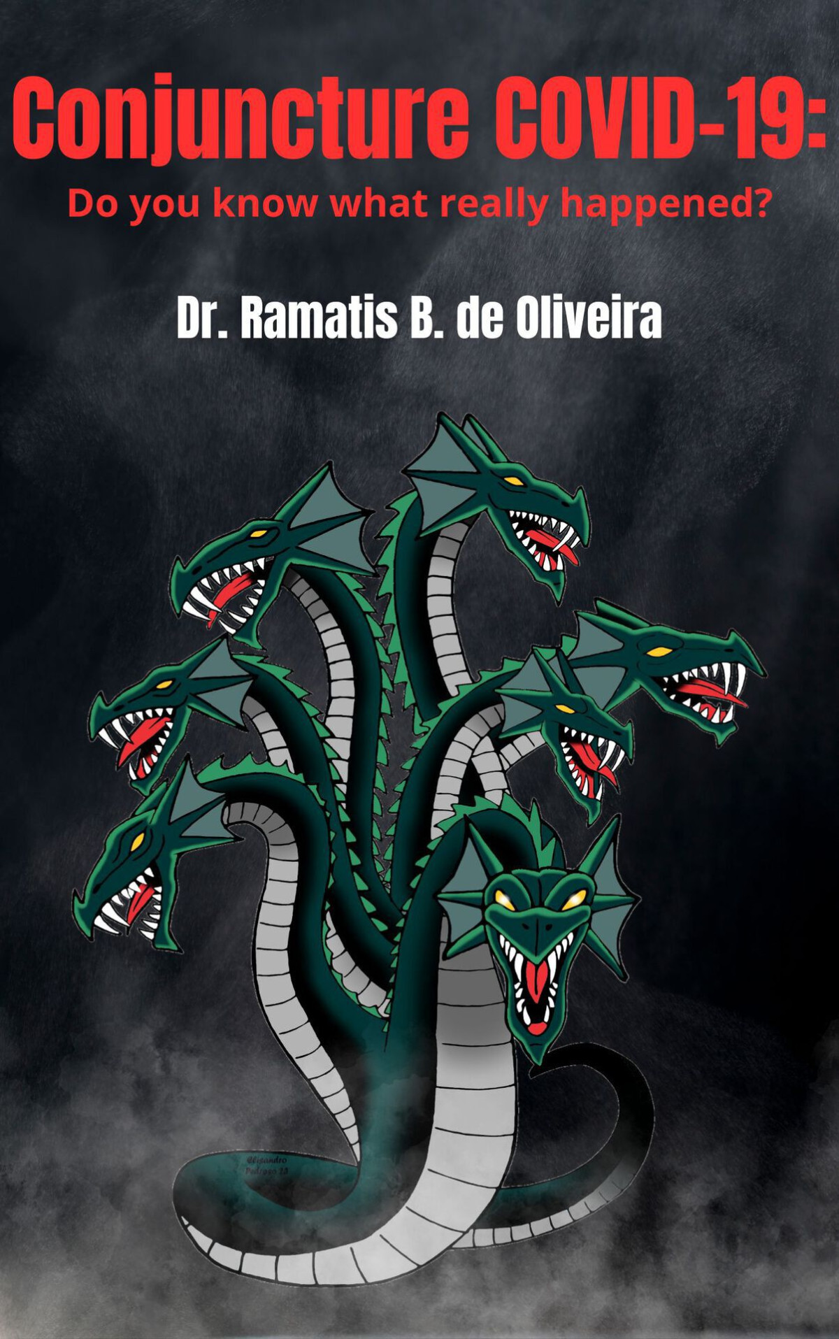 Conjuncture Covid19 Do You Know What Really Happened Ramatis Birnfeld De Oliveira