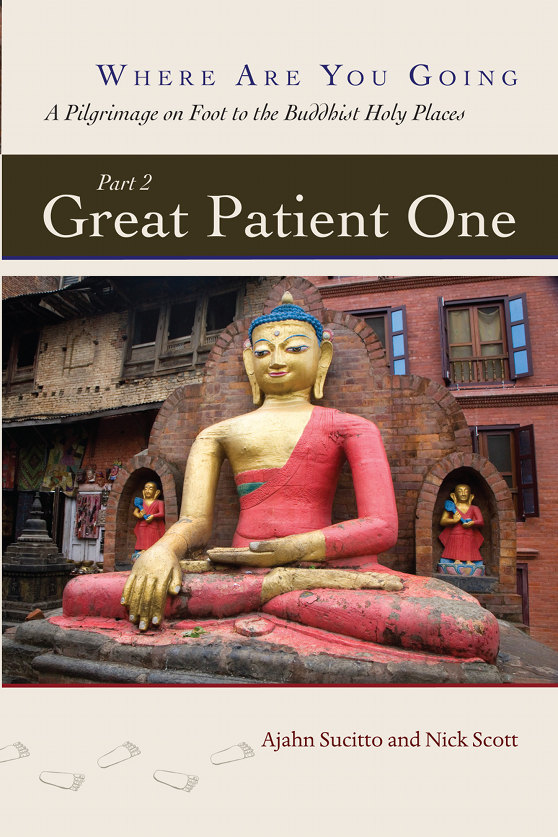 Great Patient One Where Are You Going Part Ii Ajahn Sucitto