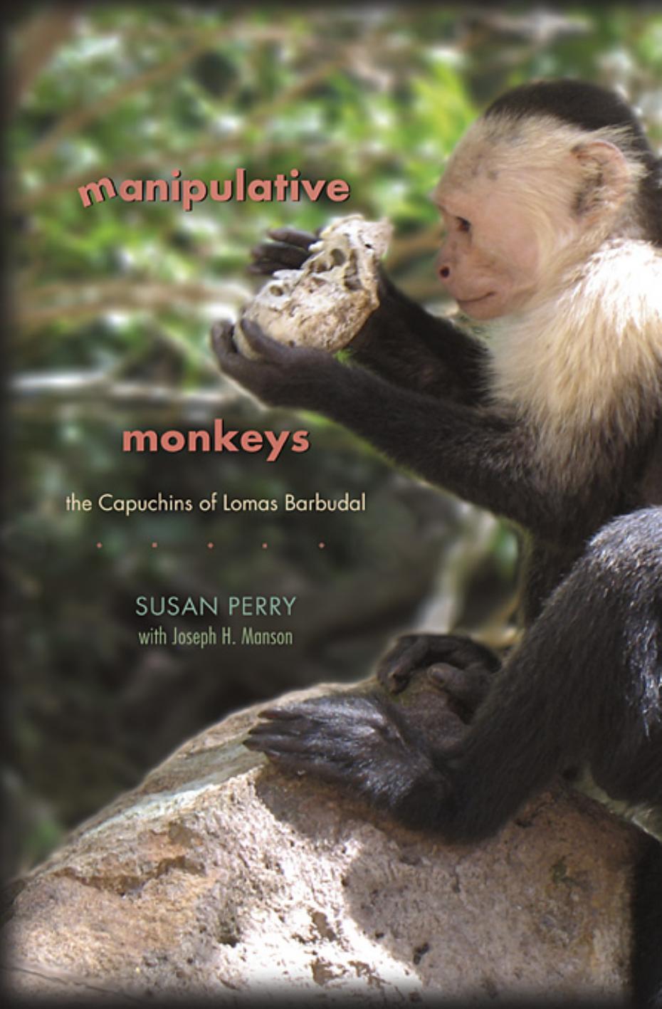 Manipulative Monkeys The Capuchins Of Lomas Barbudal Susan Perry