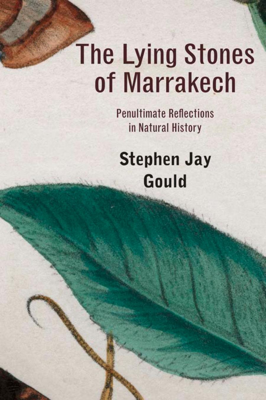 The Lying Stones Of Marrakech Stephen Jay Gould
