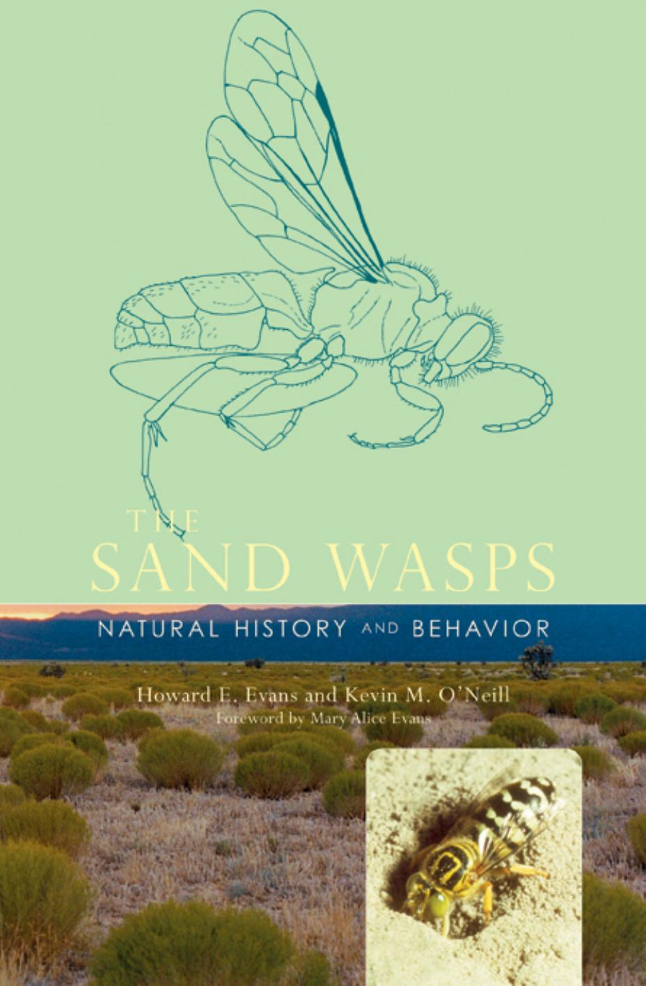 The Sand Wasps Natural History And Behavior Howard Ensign Evans Kevin M Oneill