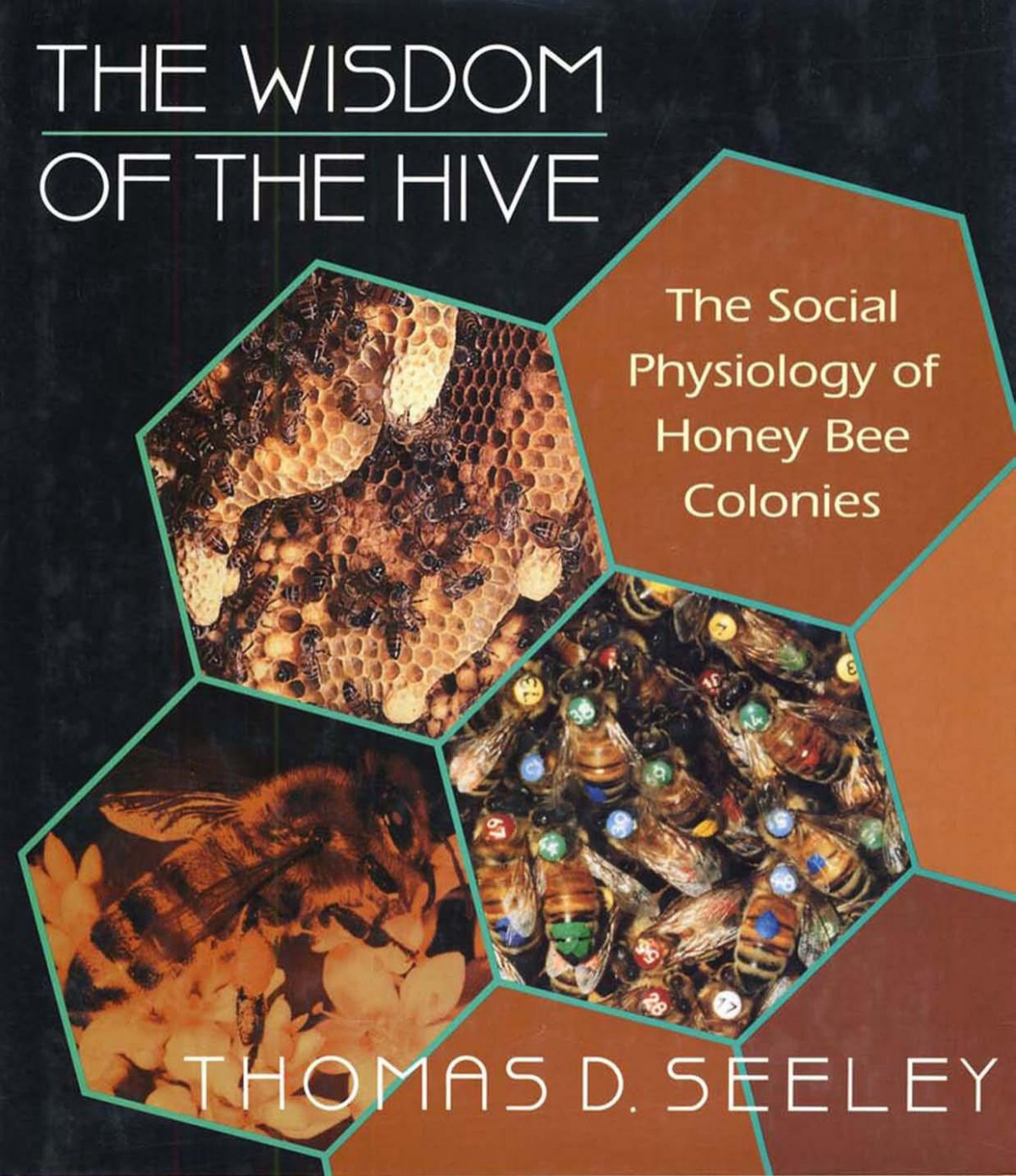 The Wisdom Of The Hive The Social Physiology Of Honey Bee Colonies Thomas D Seeley