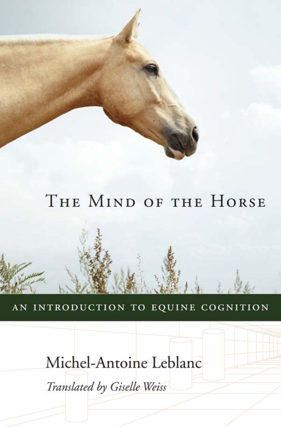 The Mind Of The Horse Michelantoine Leblanc
