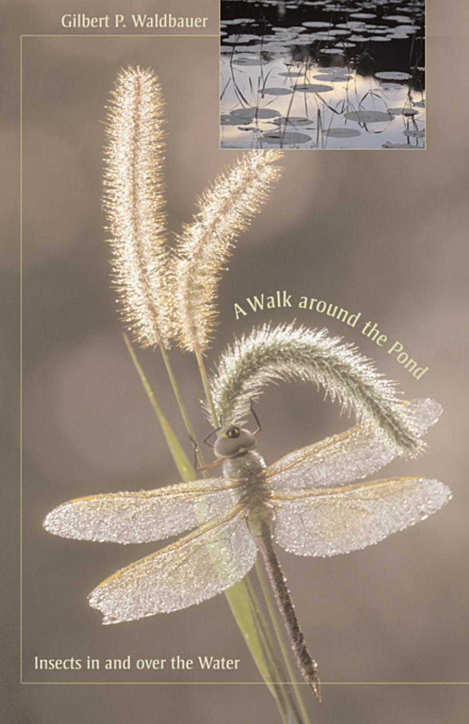 A Walk Around The Pond Insects In And Over The Water Gilbert Waldbauer