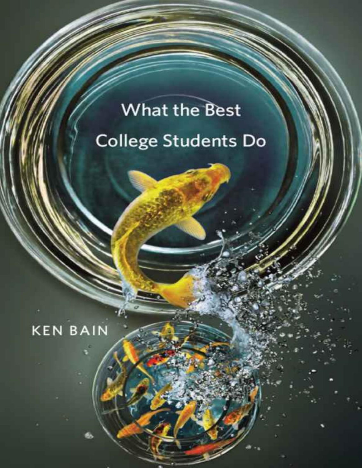 What The Best College Students Do Ken Bain