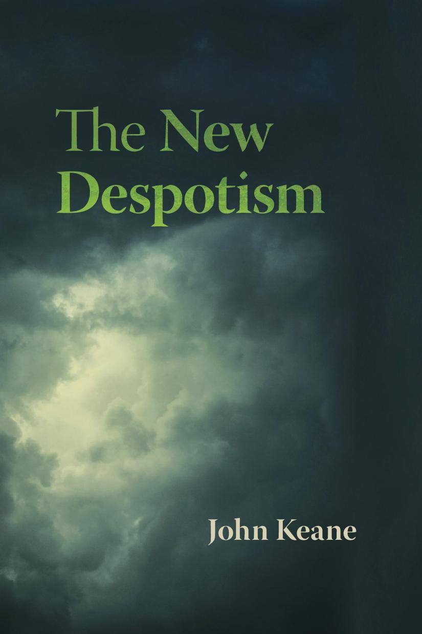 The New Despotism John Keane