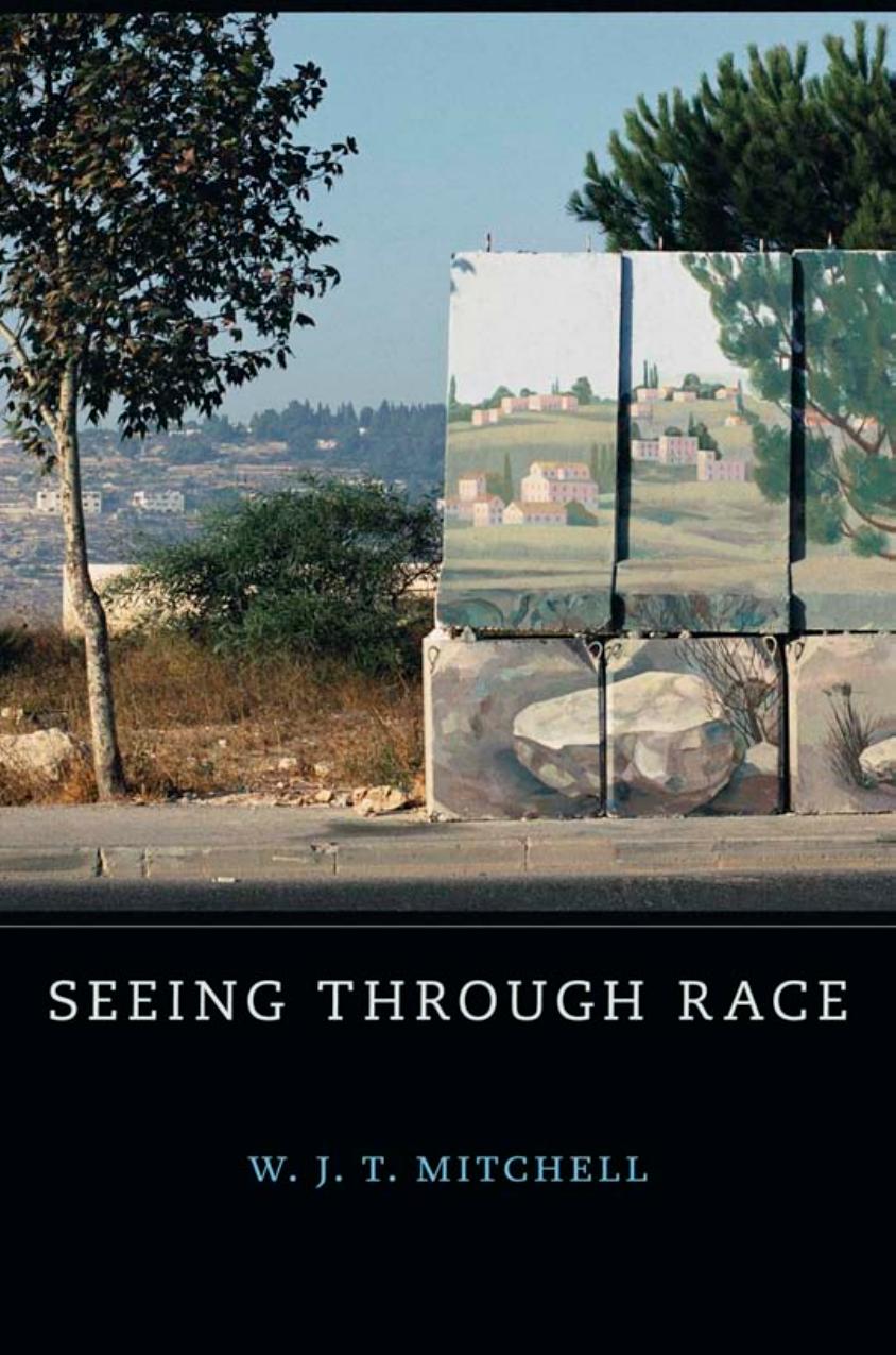 Seeing Through Race W J T Mitchell