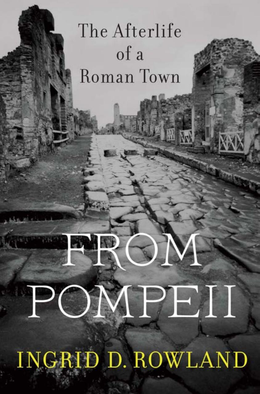 From Pompeii The Afterlife Of A Roman Town Ingrid D Rowland