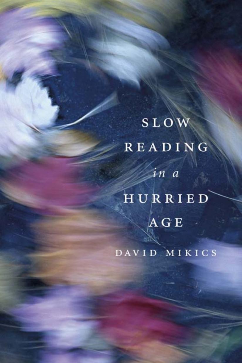 Slow Reading In A Hurried Age David Mikics