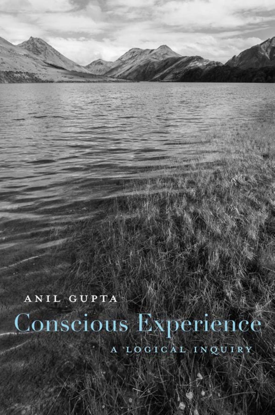 Conscious Experience A Logical Inquiry Anil Gupta
