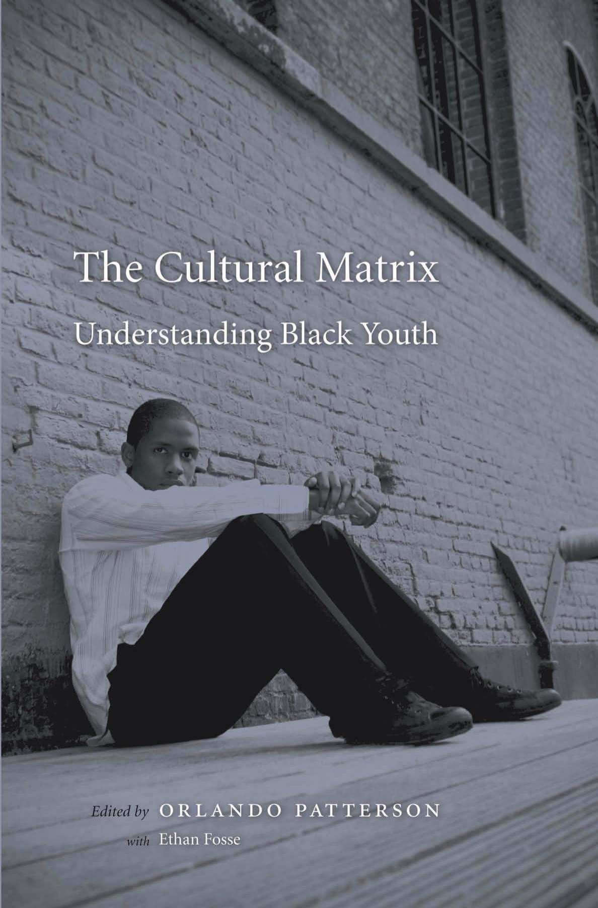 The Cultural Matrix Understanding Black Youth Orlando Patterson Ethan Fosse