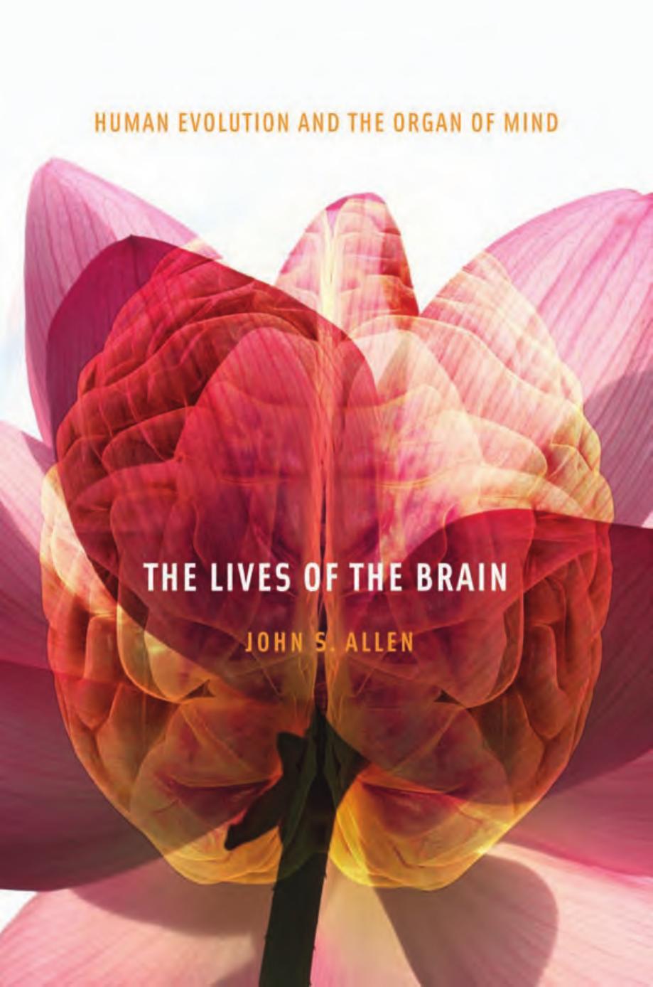 The Lives Of The Brain John S Allen
