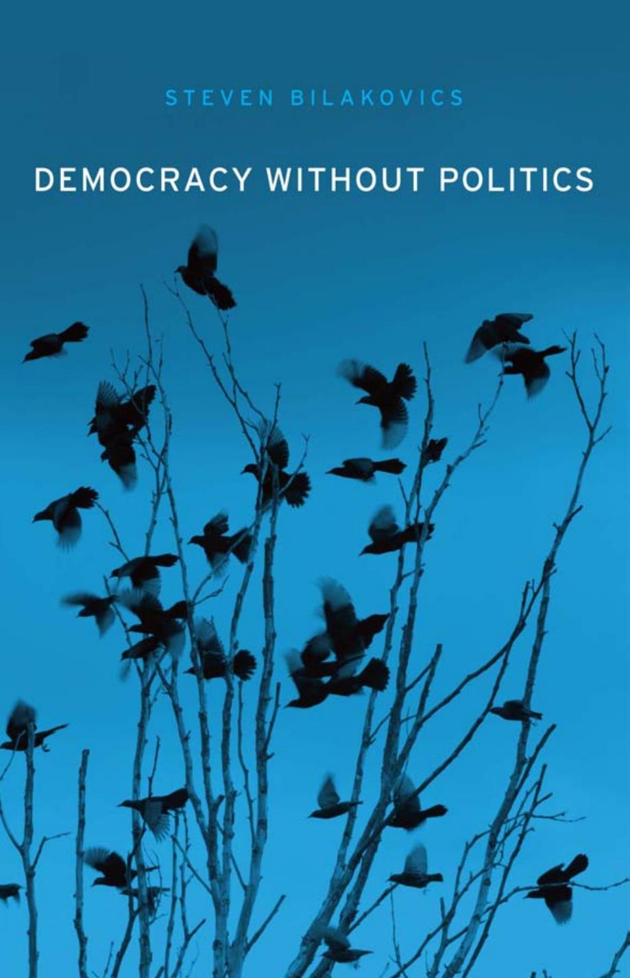 Democracy Without Politics Steven Bilakovics