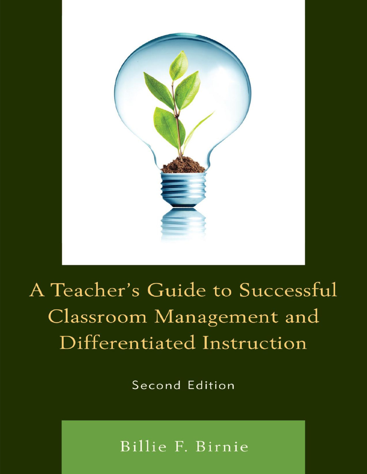 A Teachers Guide To Successful Classroom Management And Differentiated Instruction Birnie