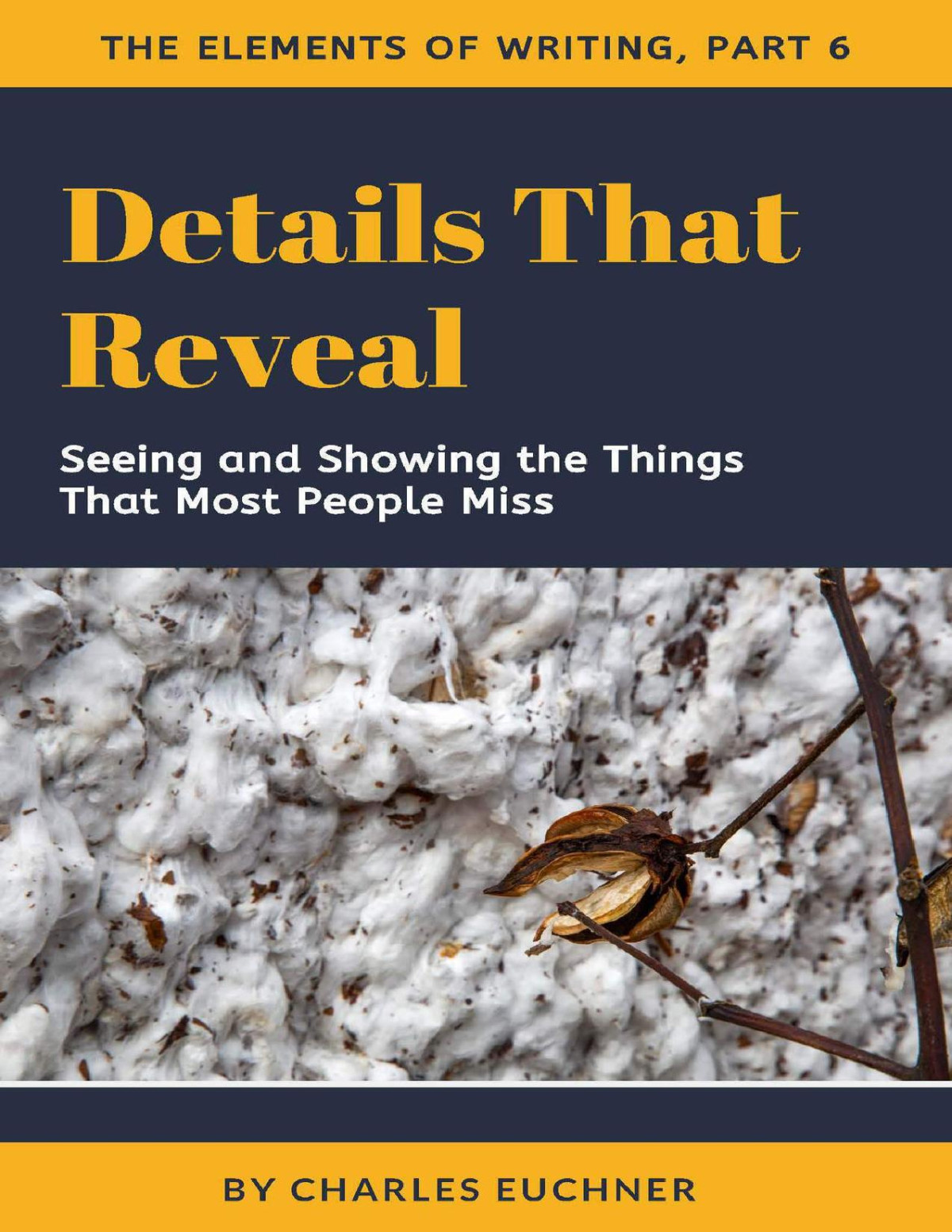 Details That Reveal Seeing And Showing The Things That Most People Miss The Elements Of Writing Book 6 Euchner