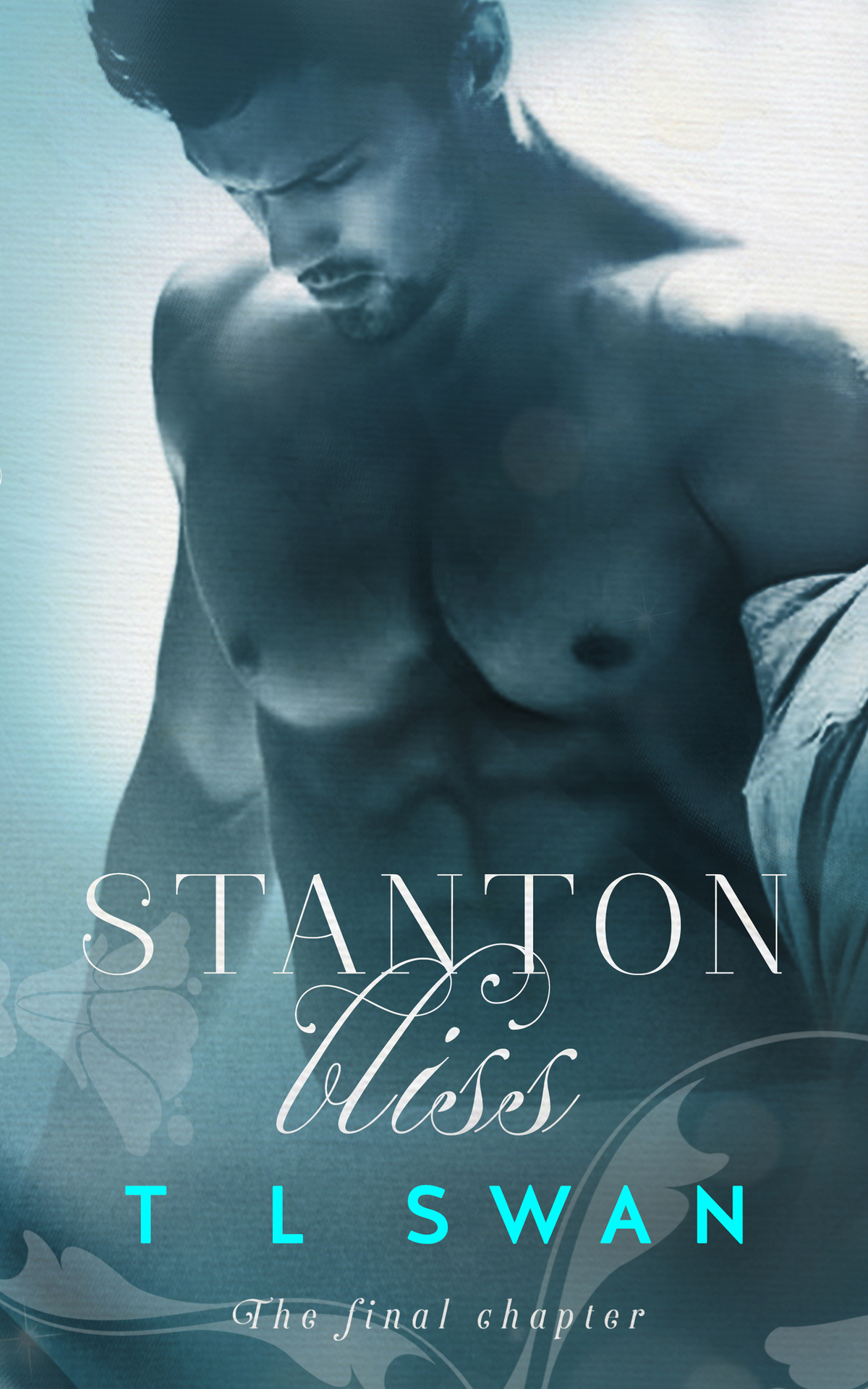Stanton Bliss Stanton Series Book 4 Swan T L