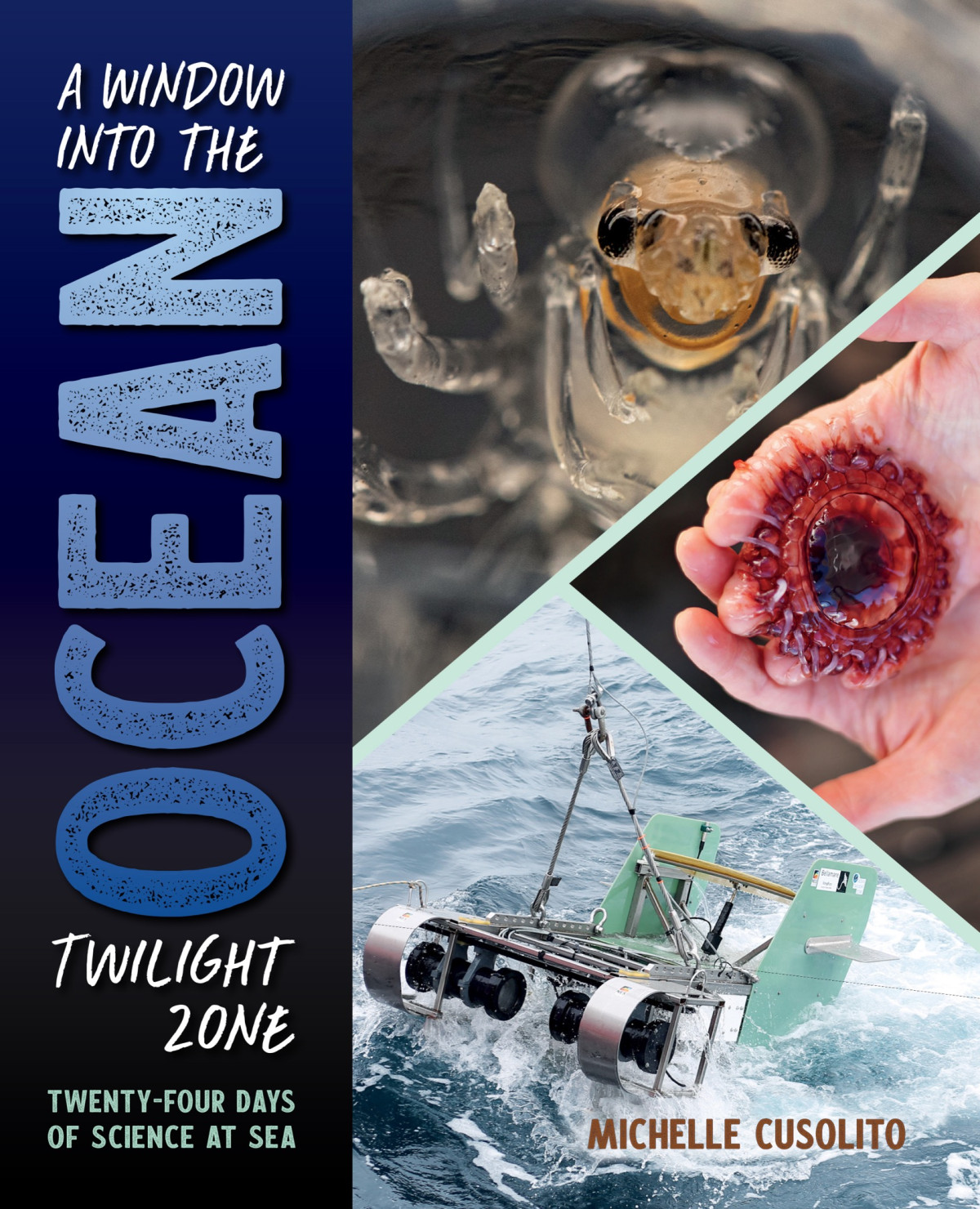 A Window Into The Ocean Twilight Zone Twentyfour Days Of Science At Sea Michelle Cusolito Author