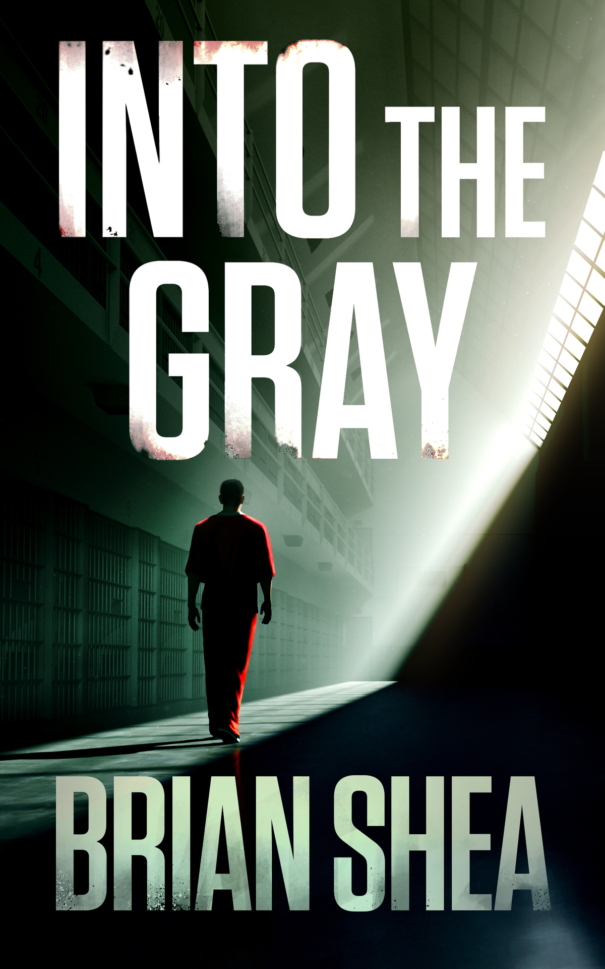 Into The Gray Boston Crime Thriller Book 6 Brian Shea