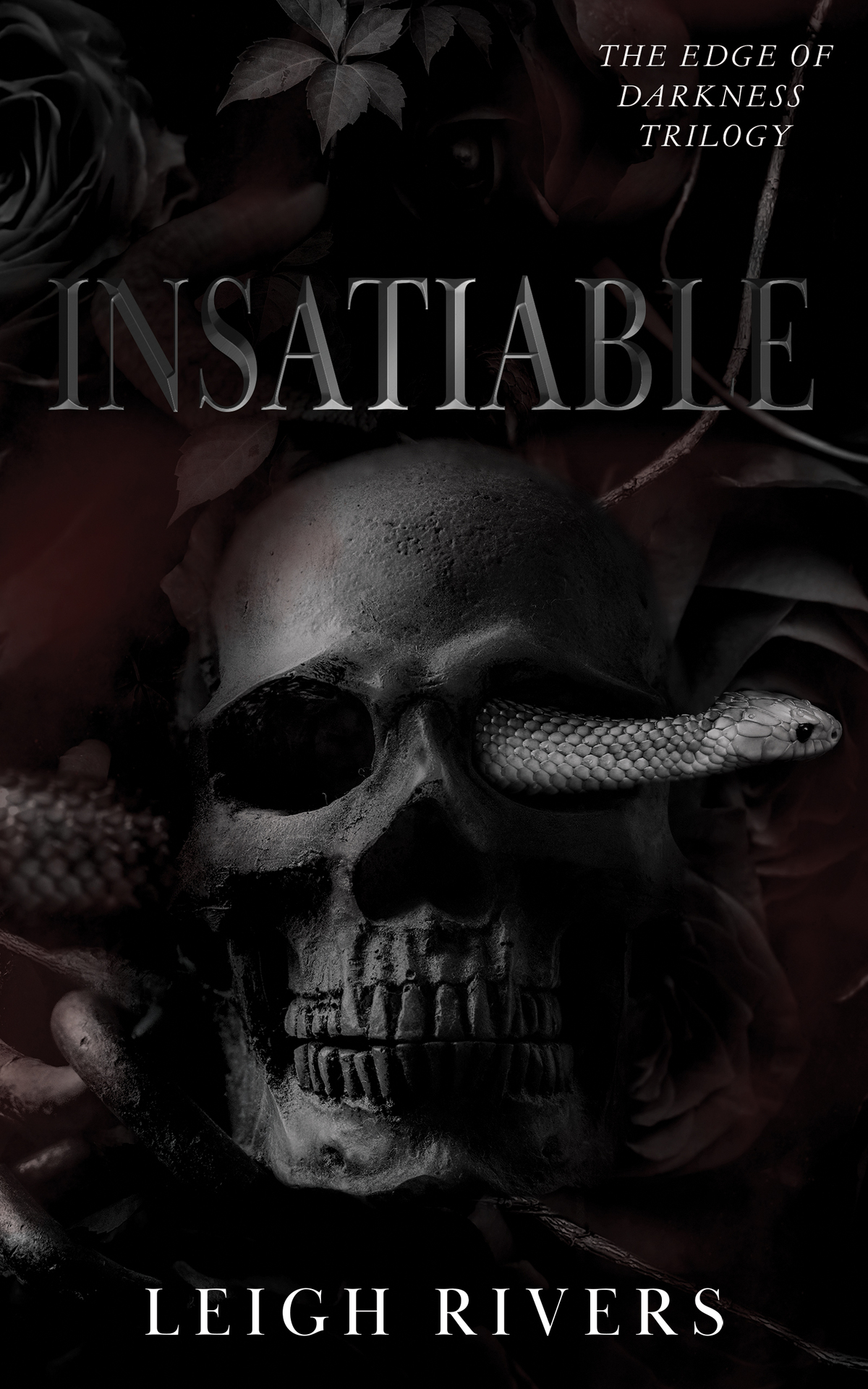 Insatiable The Edge Of Darkness Book 1 The Edge Of Darkness Trilogy Leigh Rivers