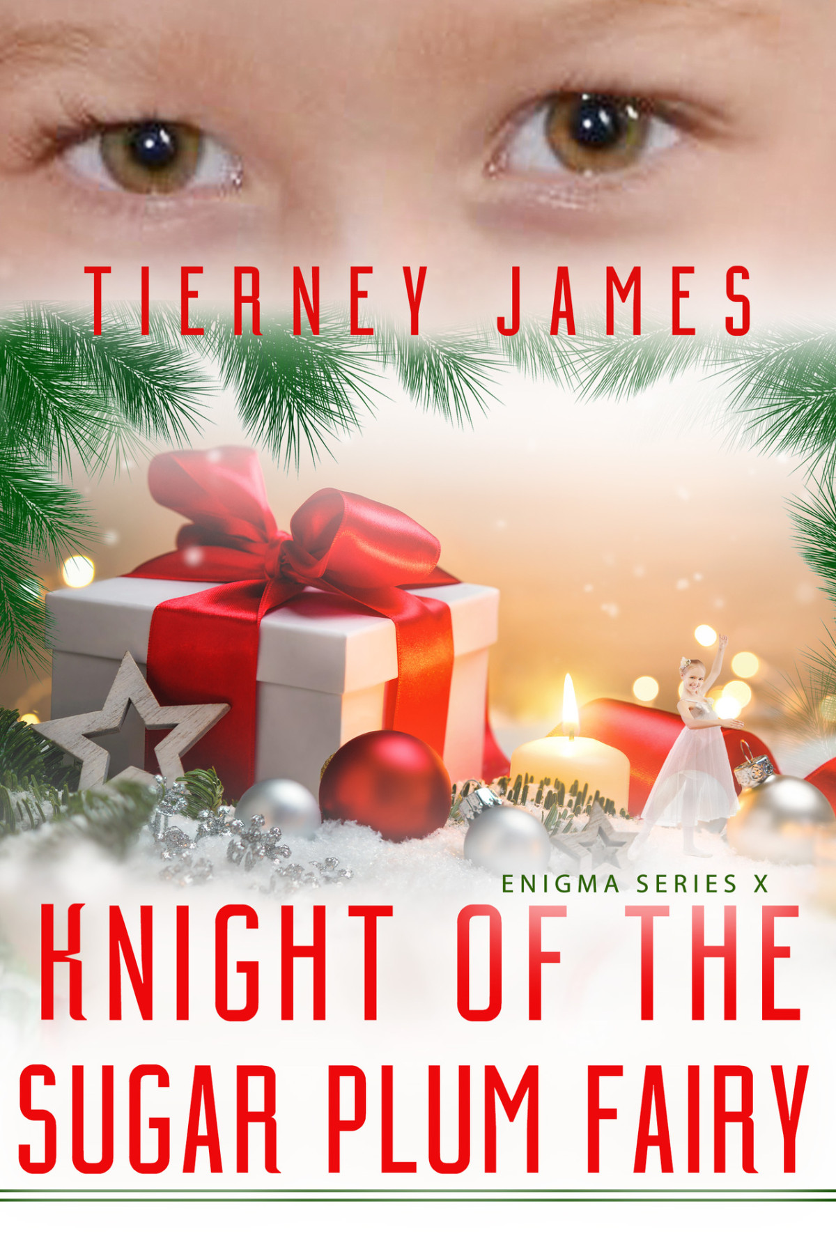 Knight Of The Sugar Plum Fairy Enigma Series Book 10 James