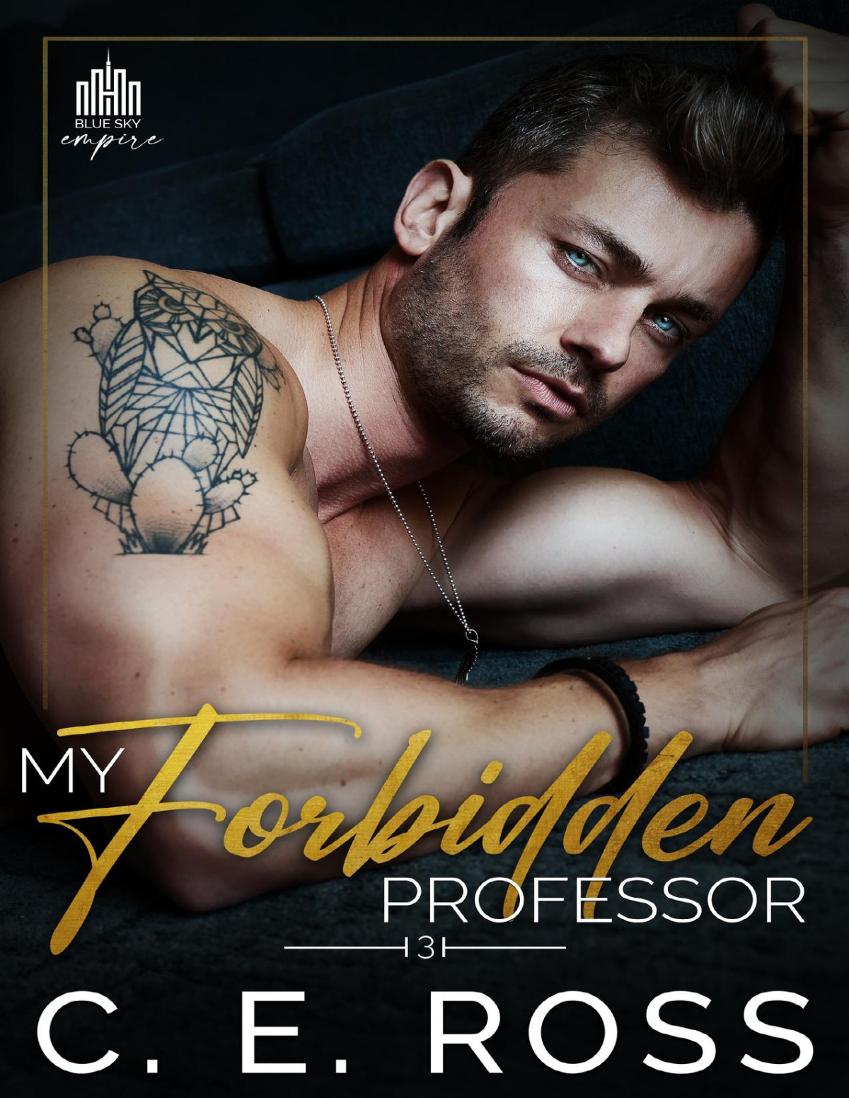 My Forbidden Professor Enemies To Lovers C E Ross