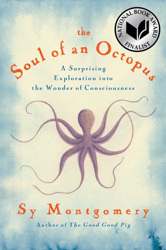 The Soul Of An Octopus A Surprising Exploration Into The Wonder Of Consciousness Sy Montgomery