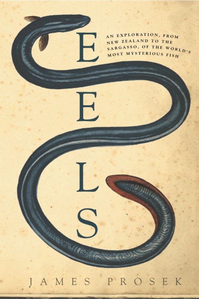 Eels An Exploration From New Zealand To The Sargasso Of The Worlds Most Mysterious Fish James Prosek