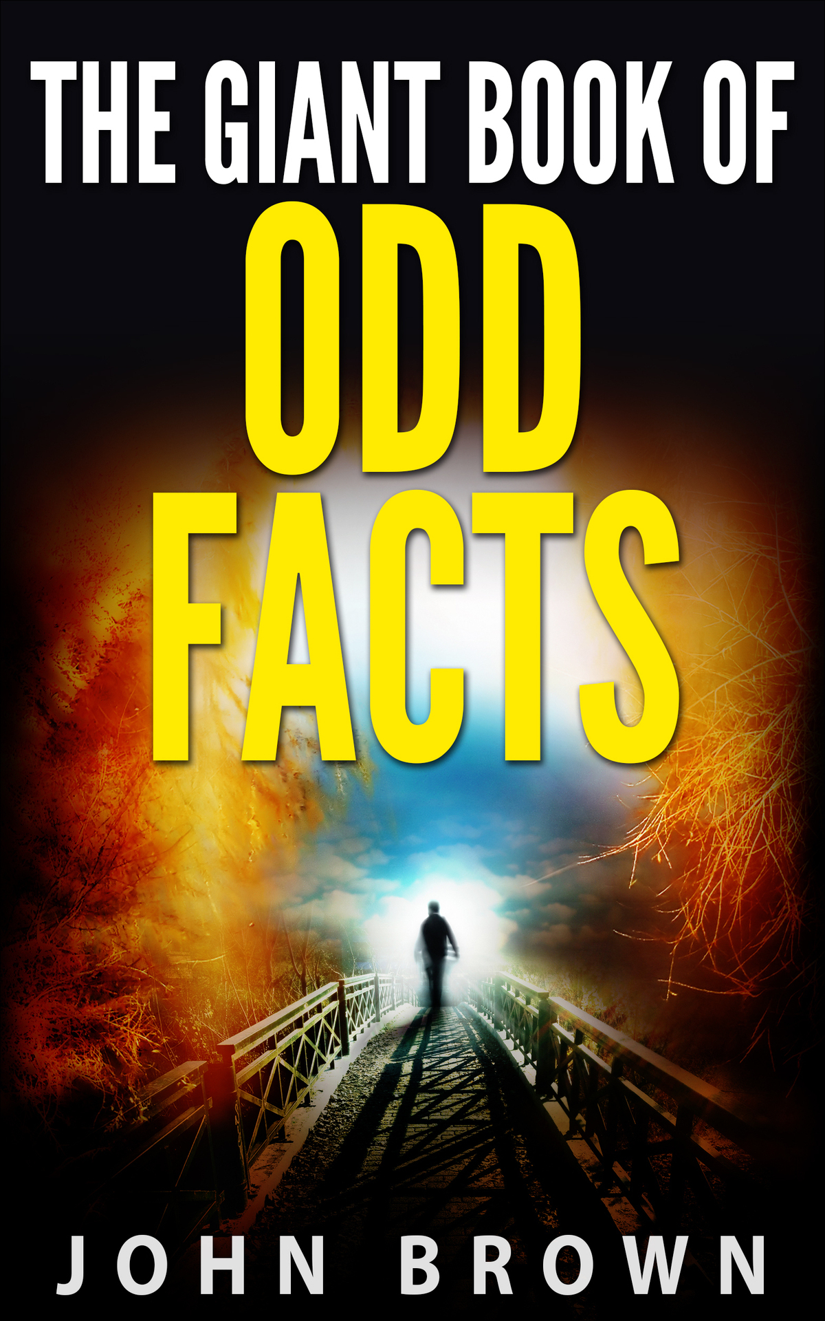 The Giant Book Of Odd Facts John Brown