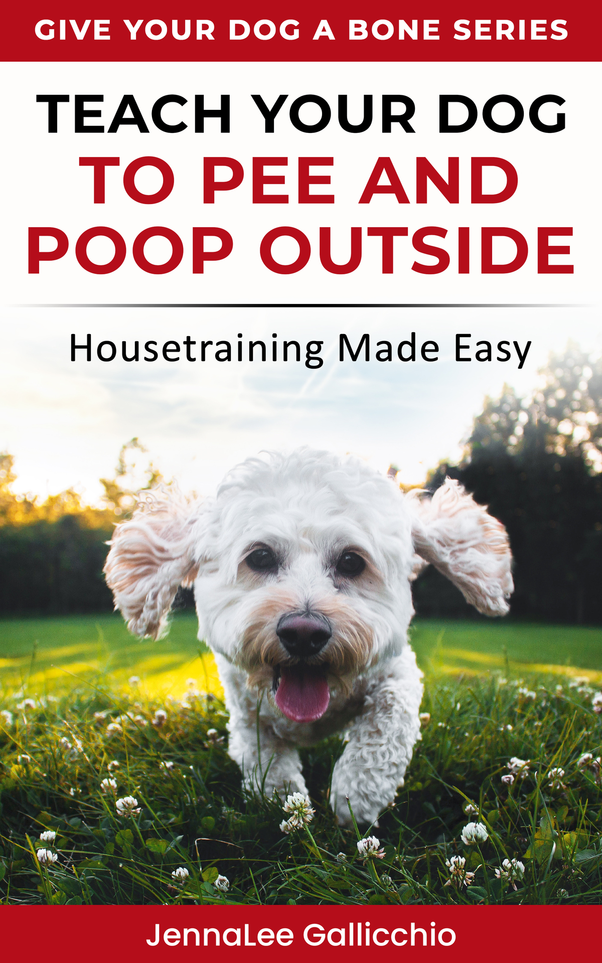 Teach Your Dog To Pee And Poop Outside Housetraining Made Easy Give Your Dog A Bone Series Book 2 Jennalee Gallicchio