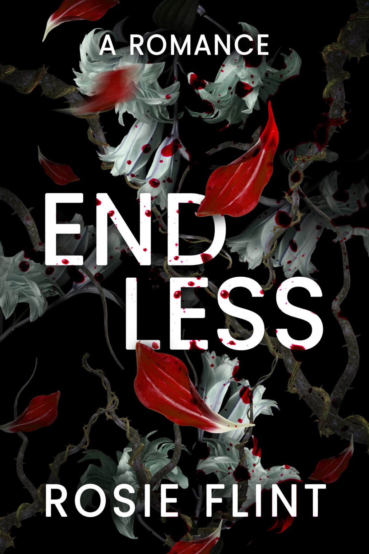 Endless A Why Choose Romance Rosie Flint