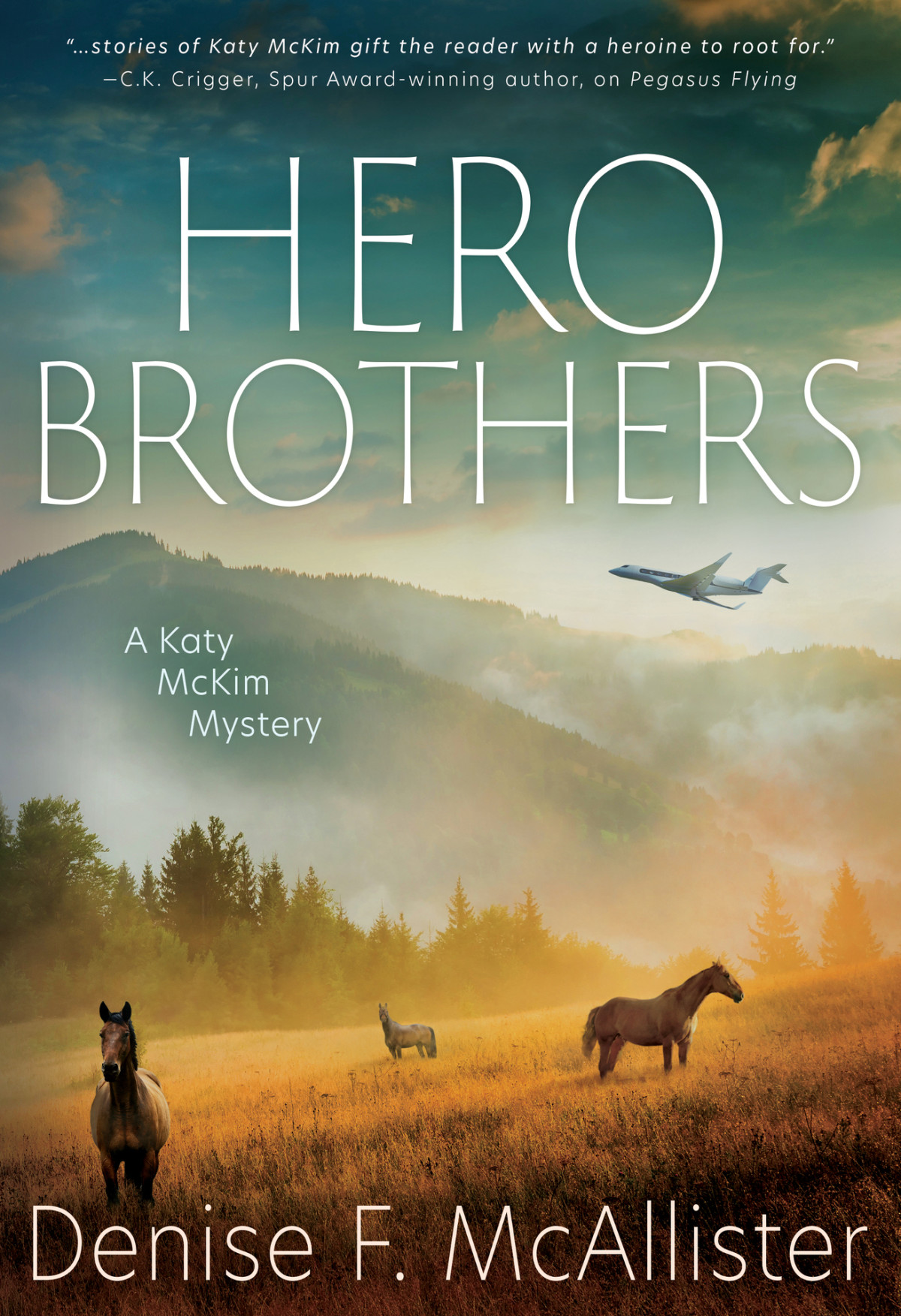 Hero Brothers A Katy Mckim Mystery Denise F Mcallister