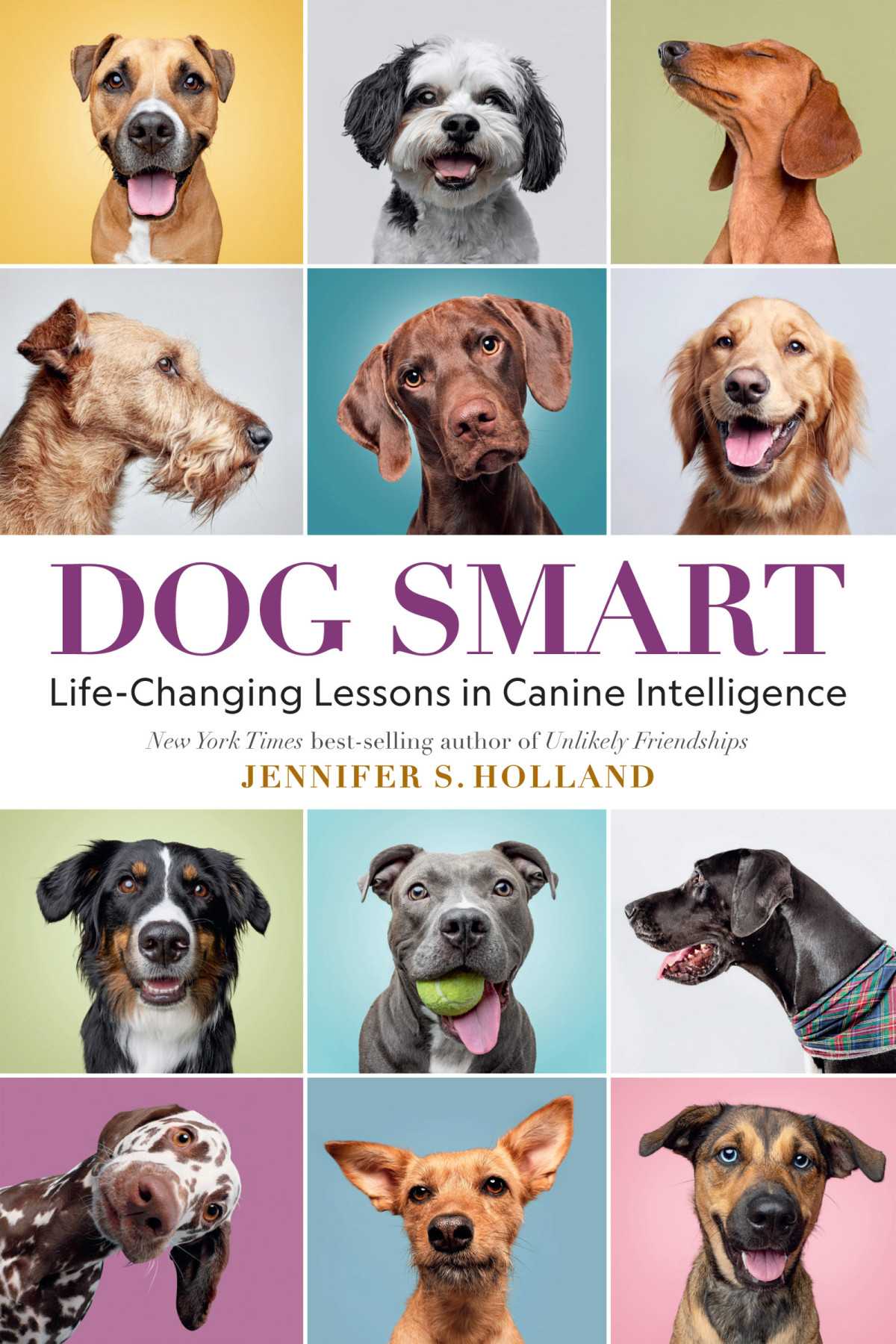 Dog Smart Lifechanging Lessons In Canine Intelligence Jennifer S Holland