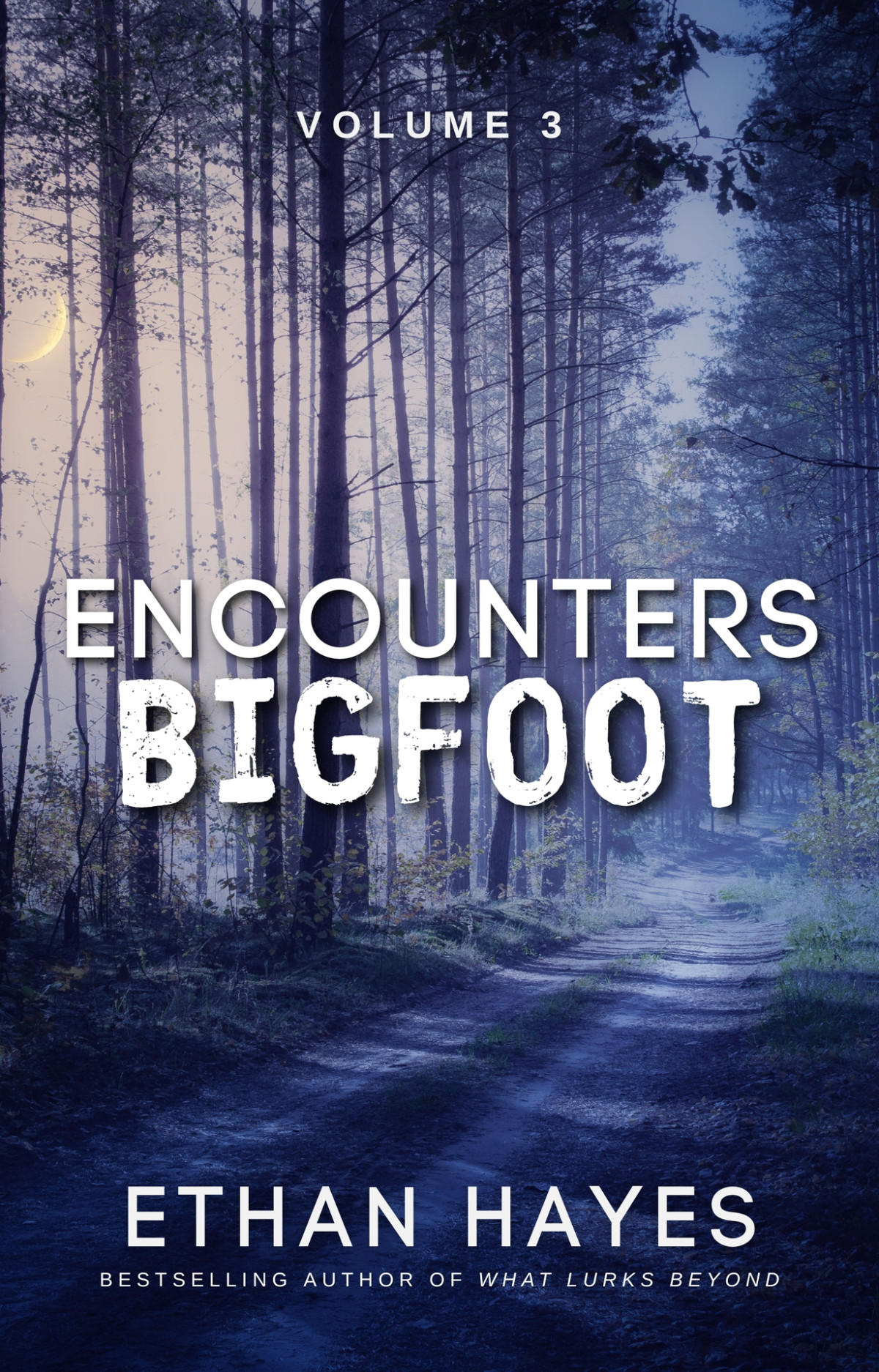 Encounters Bigfoot Volume 3 Hayes Ethan